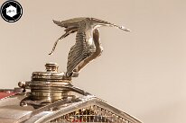 3H8A5178-Avec accentuation-Bruit