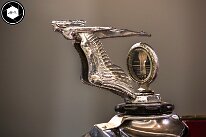 3H8A5186-Avec accentuation-Bruit