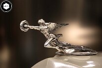 3H8A5188-Avec accentuation-Bruit