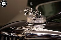 3H8A5190-Avec accentuation-Bruit