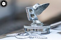 3H8A6952-CR2-DxO_DeepPRIME XD2