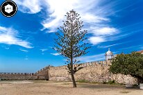 3H8A7676 - Vasco de Gama