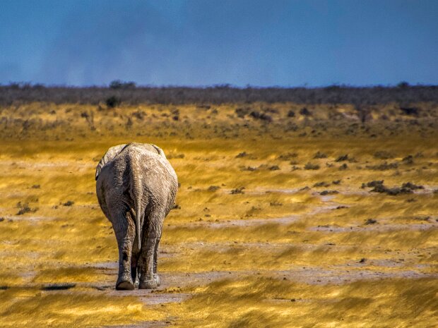 Namibie